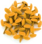 Doodlebug Design - Crushed Velvet Brads - Tangerine